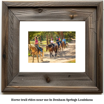 horse trail rides near me in Denham Springs, Louisiana